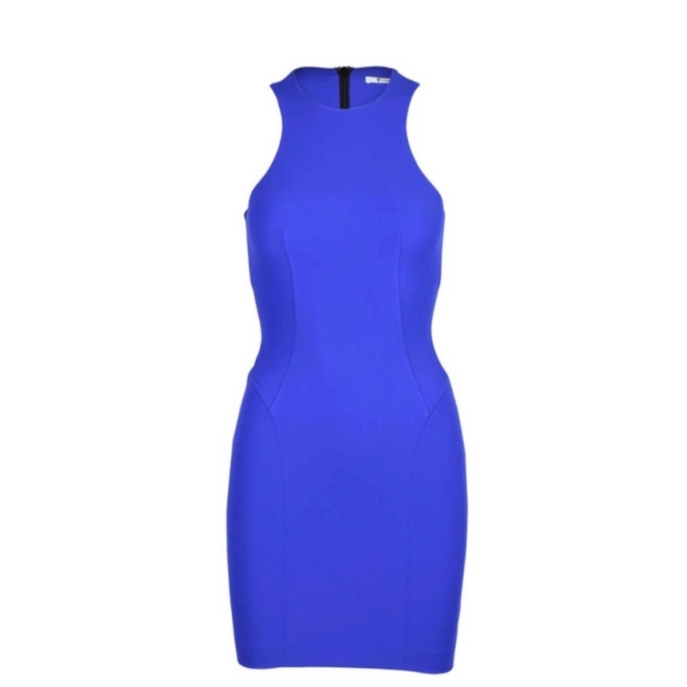 Alexander Wang Bodycon Dress